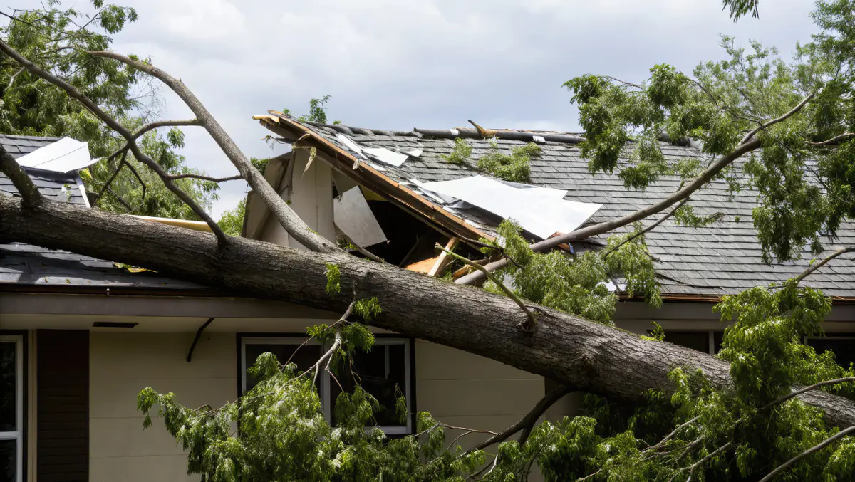 Tempestade Kristin: 5 apoios do Estado e Governo