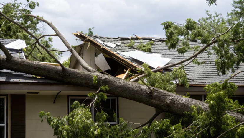 Tempestade Kristin: 5 apoios do Estado e Governo